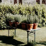 Zum Wohle Апарт-отель 3*