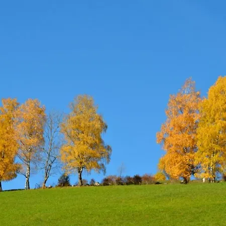 Zum Wohle شقة فندقية Oberwoelz Stadt