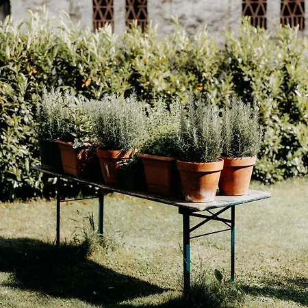 Zum Wohle Ξενοδοχείο με διαμερίσματα 3*