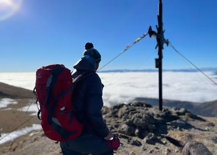 Zum Wohle Hotel apartamentowy 3*