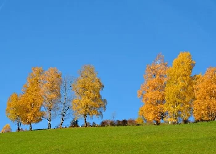 Zum Wohle アパートホテル Oberwölz Stadt