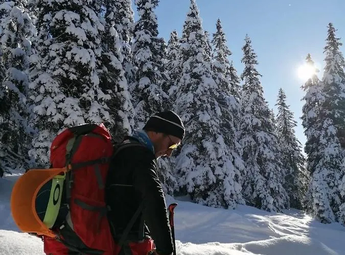 Zum Wohle アパートホテル 3*