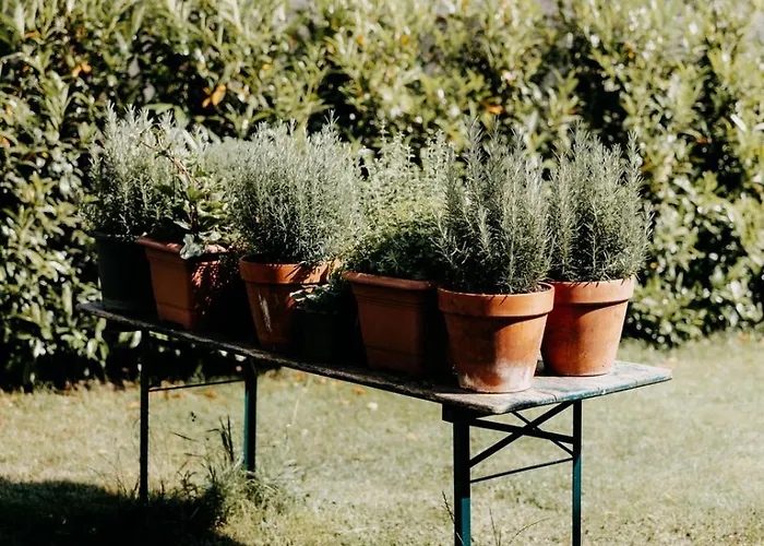 Zum Wohle شقة فندقية 3*